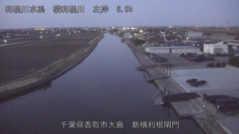 yoko2026030106_image