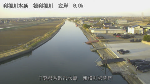 yoko2026030107_image