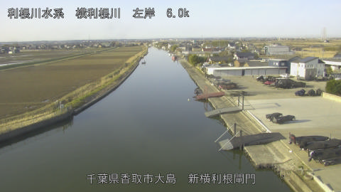 yoko2026030108_image