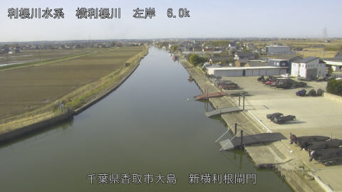 yoko2026030109_image