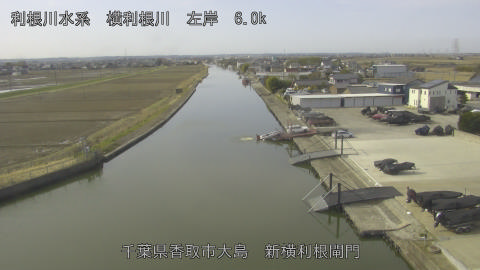 yoko2026030110_image