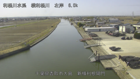 yoko2026030111_image