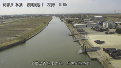 yoko2026030112_image