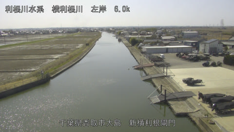 yoko2026030113_image