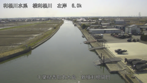 yoko2026030114_image