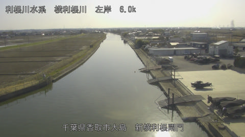 yoko2026030115_image