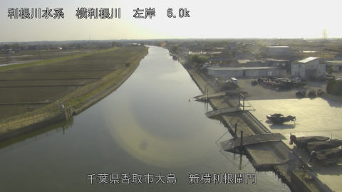 yoko2026030116_image