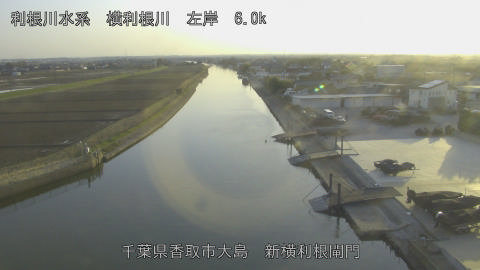 yoko2026030117_image