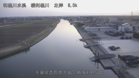 yoko2026030118_image