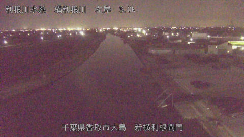 yoko2026030119_image