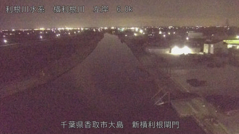 yoko2026030120_image