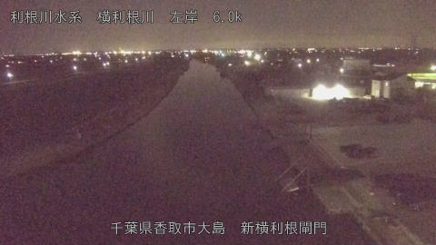 yoko2026030121_image