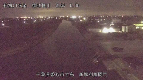 yoko2026030122_image