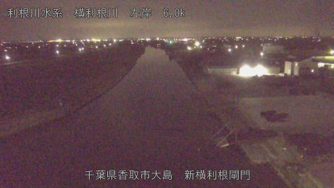 yoko2026030123_image