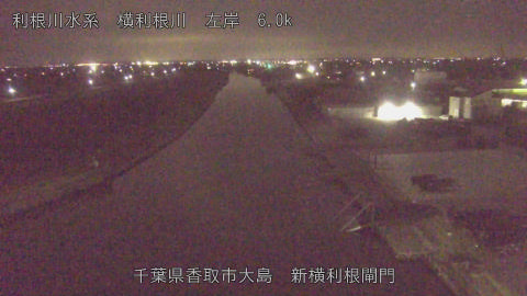 yoko2026030200_image