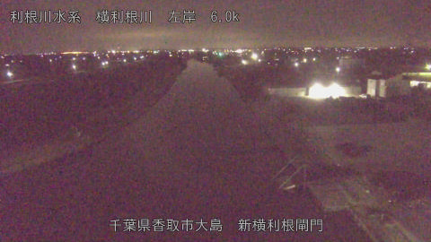 yoko2026030201_image