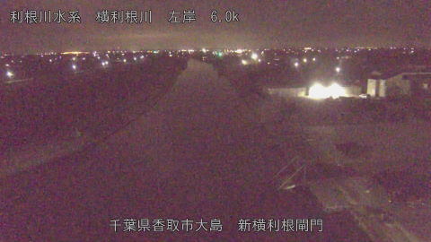 yoko2026030202_image