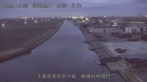 yoko2026030206_image