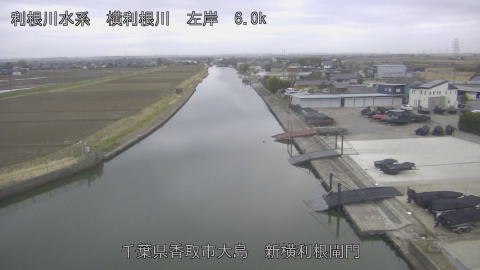 yoko2026030207_image