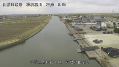 yoko2026030208_image