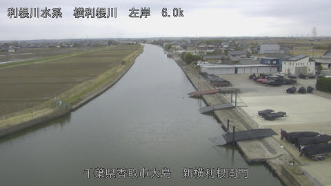 yoko2026030212_image