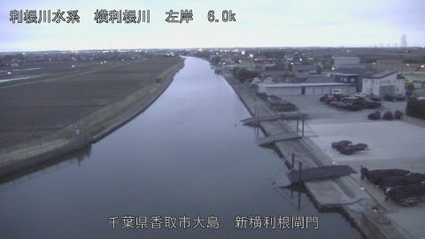 yoko2026030218_image