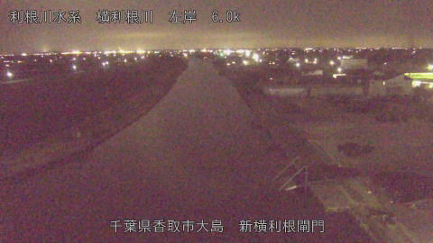 yoko2026030219_image