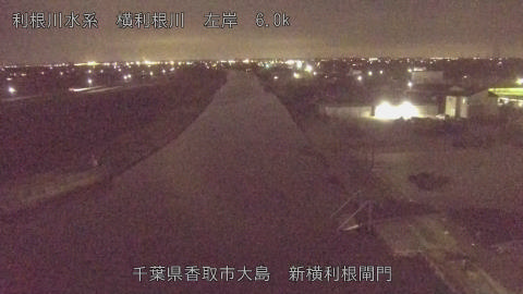 yoko2026030221_image