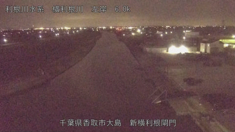 yoko2026030222_image