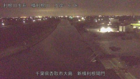 yoko2026030300_image