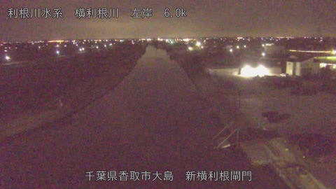 yoko2026030301_image