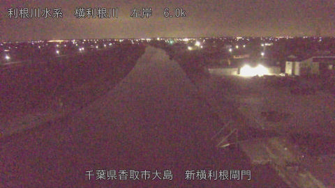 yoko2026030302_image