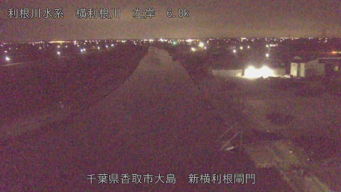 yoko2026030303_image