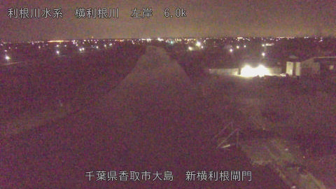 yoko2026030304_image