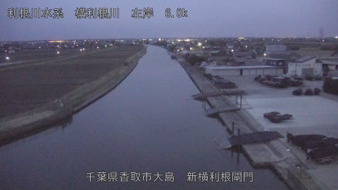 yoko2026030306_image