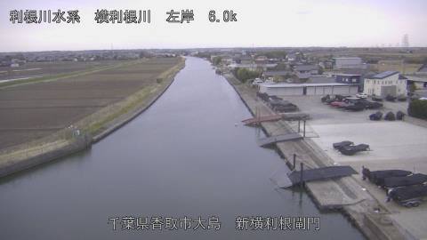 yoko2026030307_image