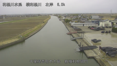 yoko2026030308_image