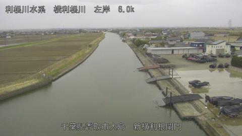 yoko2026030309_image