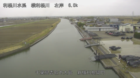 yoko2026030310_image