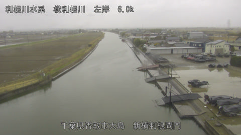 yoko2026030312_image