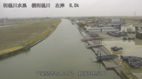 yoko2026030313_image