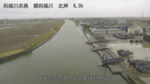 yoko2026030314_image