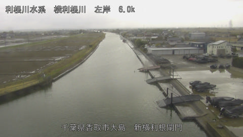 yoko2026030315_image