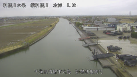 yoko2026030316_image