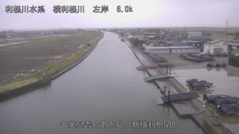 yoko2026030317_image