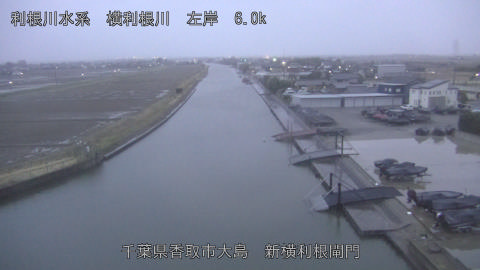 yoko2026030318_image