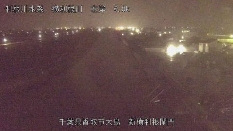 yoko2026030320_image