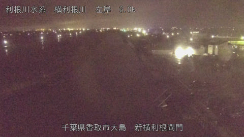 yoko2026030321_image