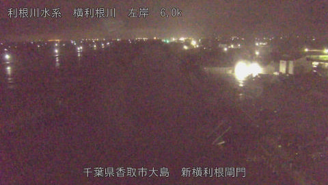 yoko2026030401_image