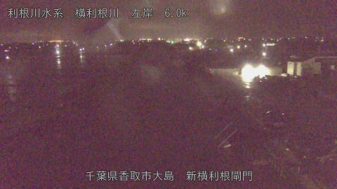 yoko2026030403_image